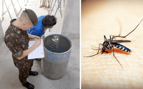 Segundo biomédica, algumas pessoas ainda mantêm focos de criadouros em casa. (Foto: Reprodução/Prefeitura Municipal de Jundiaí)