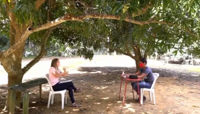 Professora e aluno debaixo de um pé de manga