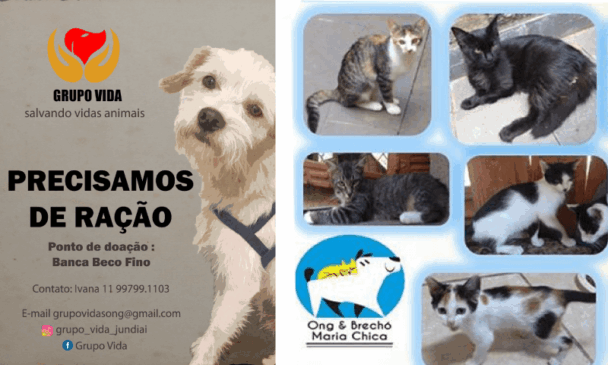 À esquerda, banner pede doação de ração; à direita, foto de animais que estão para doação