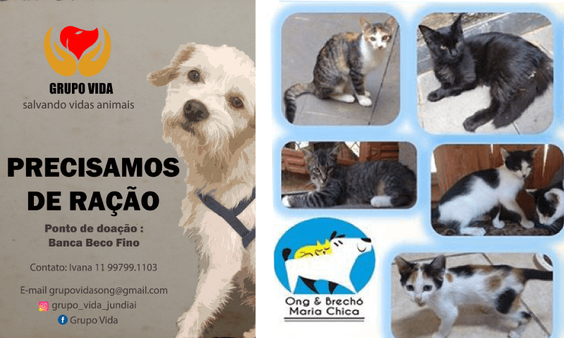 À esquerda, banner pede doação de ração; à direita, foto de animais que estão para doação