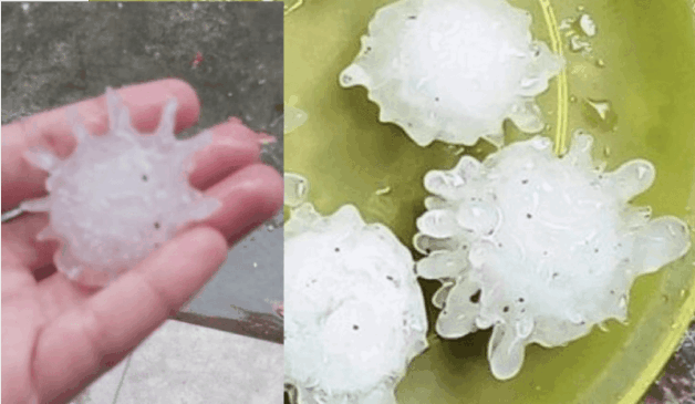 Pedras de gelo em formato de estrutura viral do coronavírus