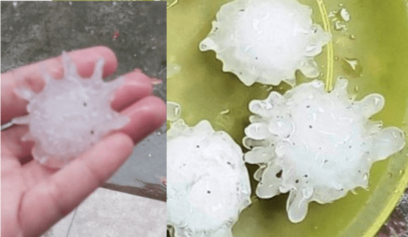 Pedras de gelo em formato de estrutura viral do coronavírus