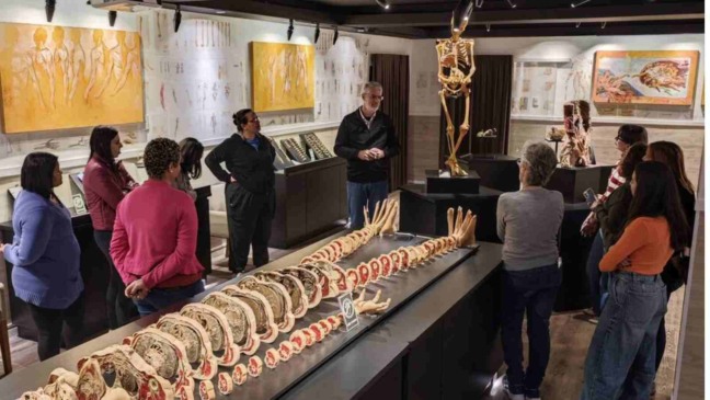Visita guiada no museu do corpo humano da FMJ