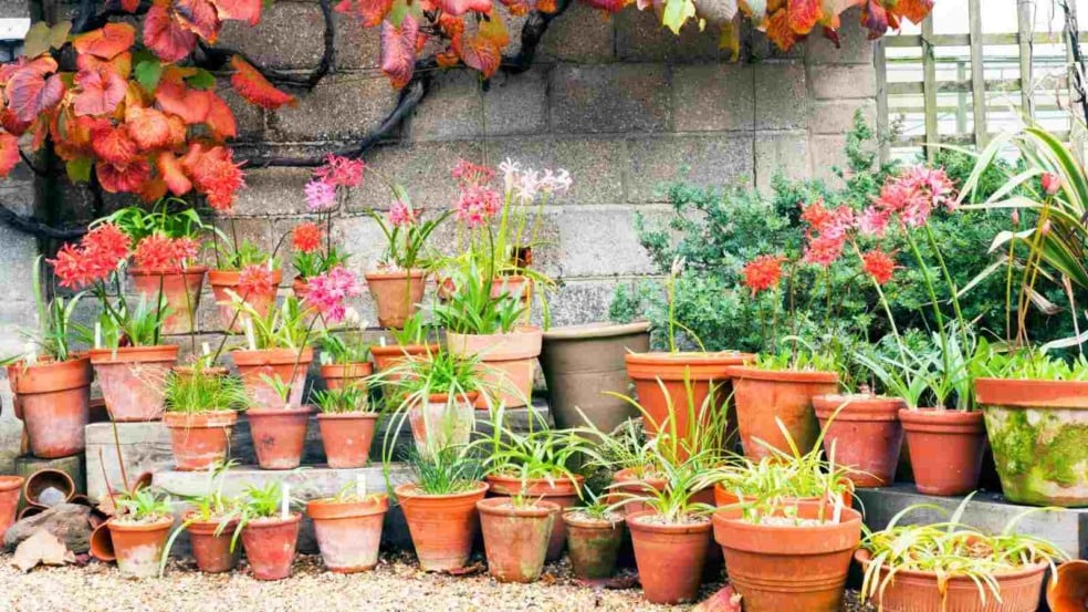 (Foto: smudgerone/Canva)