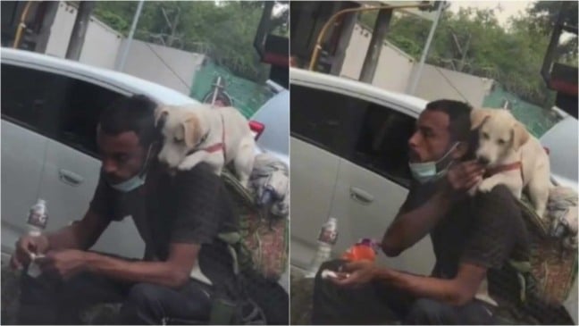 Homem dando comida para cachorro