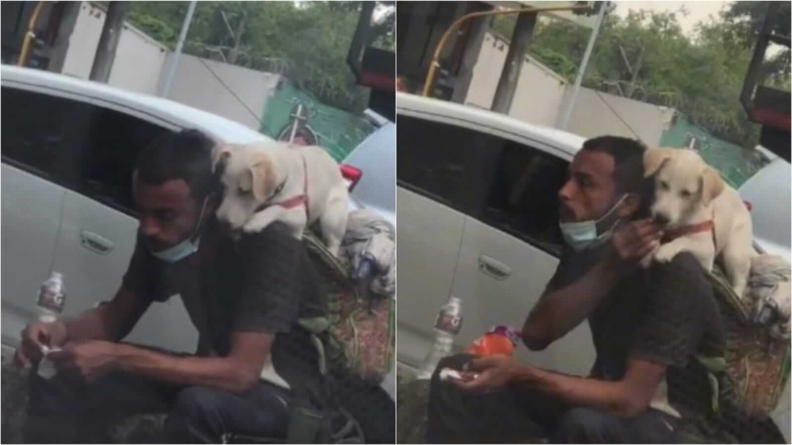 Homem dando comida para cachorro