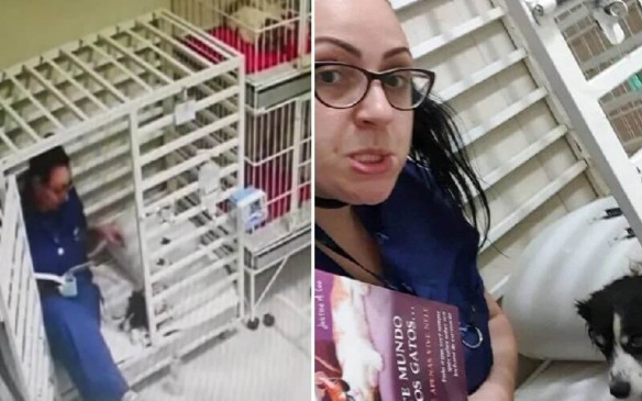 Veterinária lê livro para cachorrinha internad