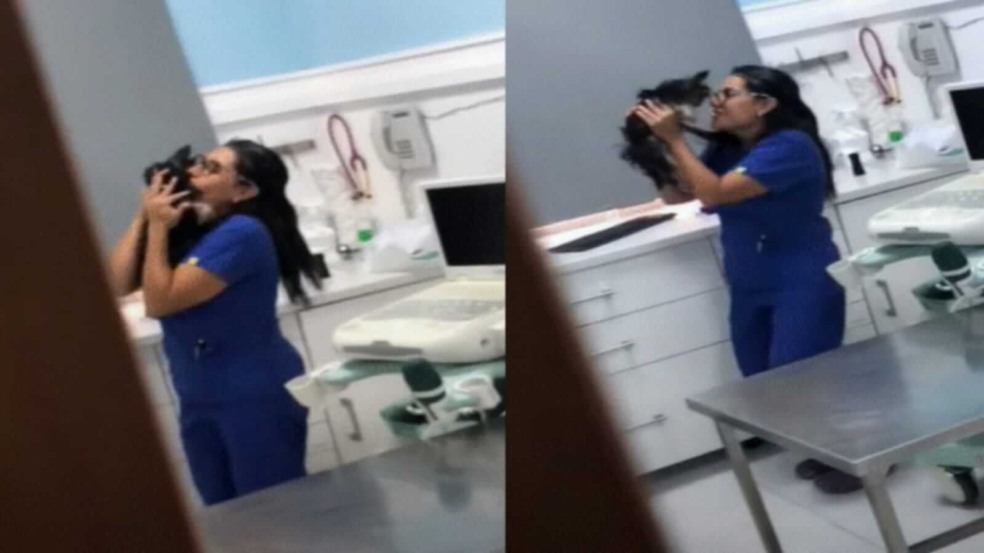 veterinária dançando com cachorro veterinária dançando com cachorro