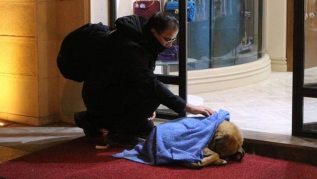 (Foto: Reprodução/portalamigocao)