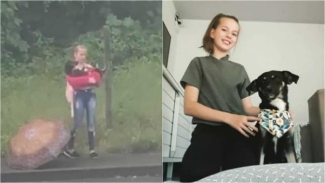 Menina resgata cachorra ferida na rua