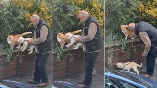 Idoso com cachorro e gato