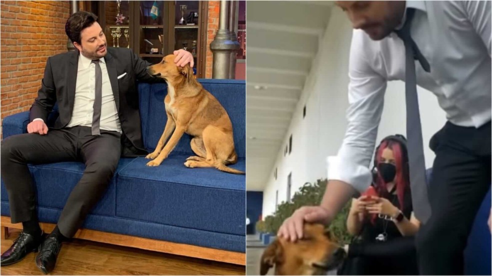 Danilo Gentili com cachorro