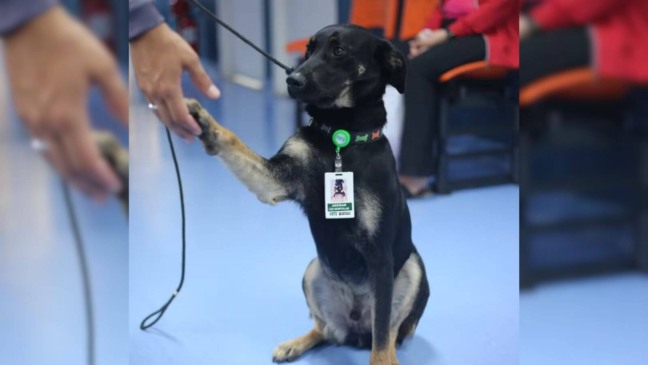 Foto: Divulgação/Secretaria Municipal da Saúde