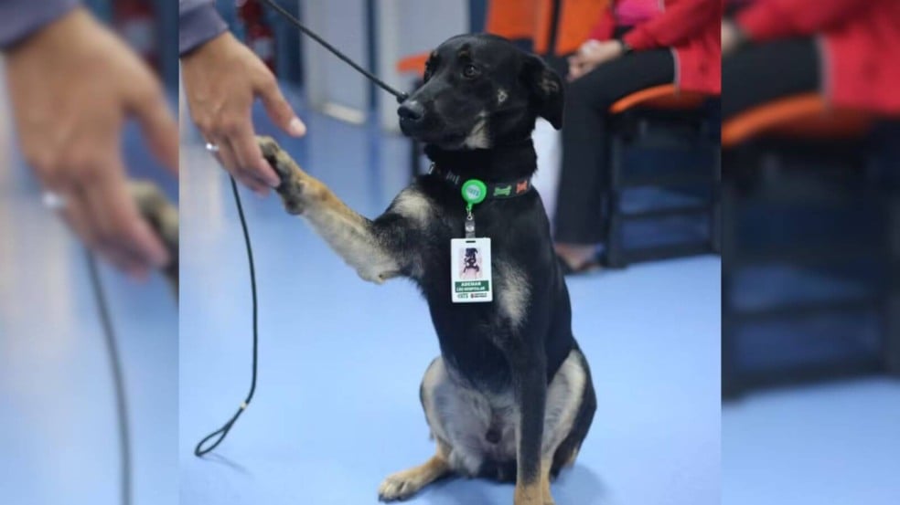 Foto: Divulgação/Secretaria Municipal da Saúde