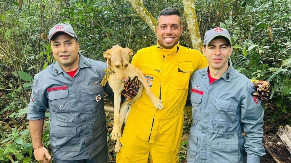 Vira-lata caramelo é resgatado após cair em poço de 12 metros em Várzea Paulista