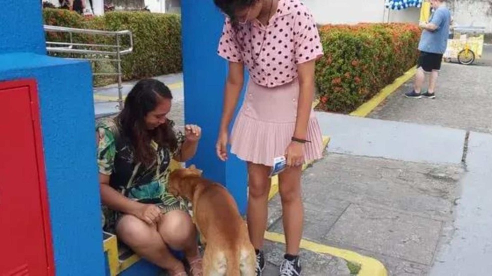 (Foto: Natally Domingos)