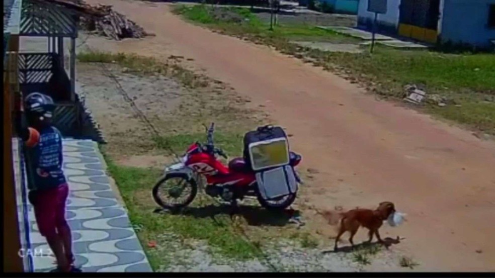 (Foto: Reprodução/Câmeras de segurança)