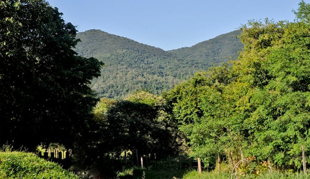 Visita monitorada à Serra do Japi é opção no feriado prolongado