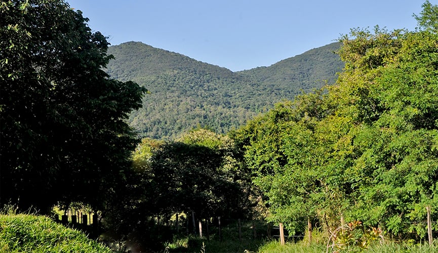 Visita monitorada à Serra do Japi é opção no feriado prolongado