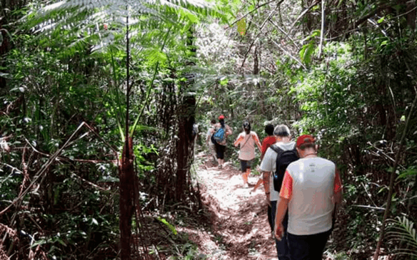 De 8 a 15 pessoas formam os grupos de visitação. (Foto: Reprodução/Prefeitura Municipal de Jundiaí)