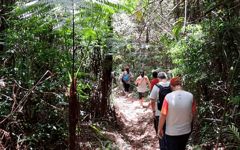 De 8 a 15 pessoas formam os grupos de visitação. (Foto: Reprodução/Prefeitura Municipal de Jundiaí)