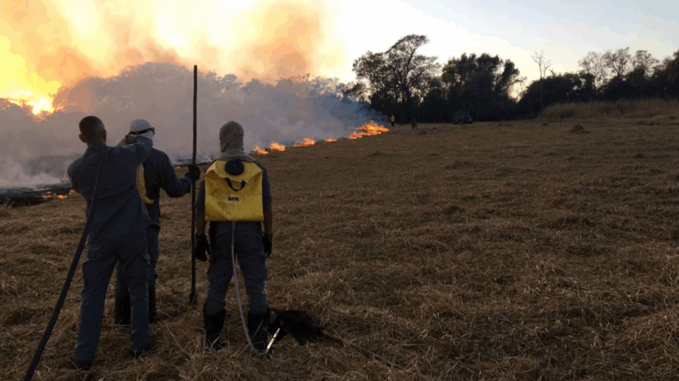 Equipes de Jundiaí trabalham para conter incêndio no Eloy Chaves