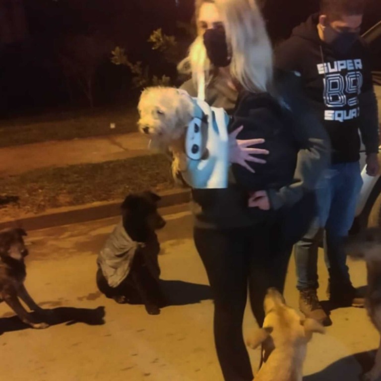 Mulher segurando cachorro