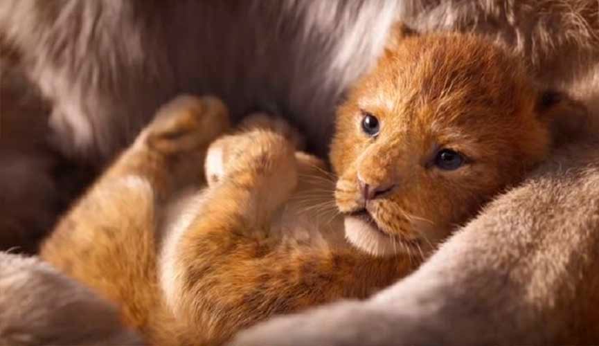 Rei Leão Live Action deverá ser emocionante