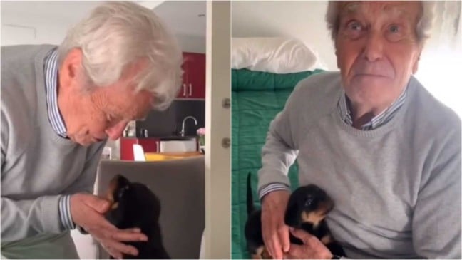 Idoso com filhote de cachorro