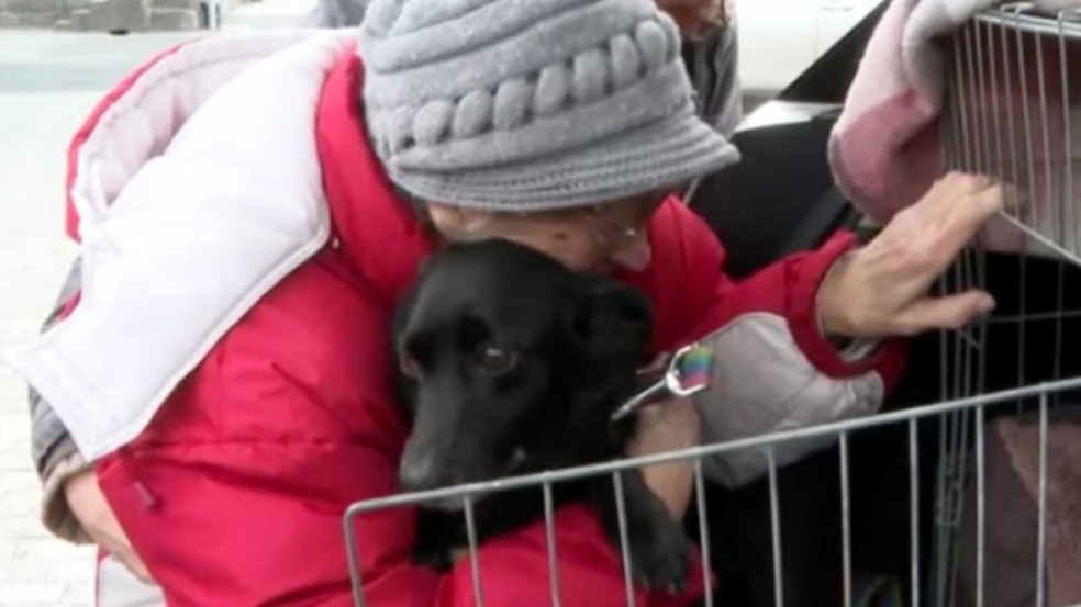 Idosa abraçando cachorro