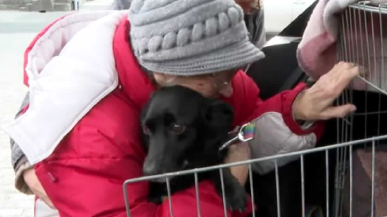 Idosa abraçando cachorro