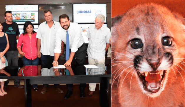 Imagem do prefeito assinando contrato ao lado de representantes da Mata Ciliar; filhote de onça parda
