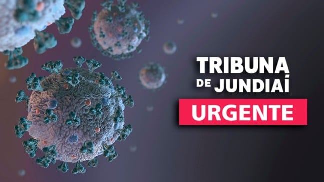 Reprodução da estrutura viral