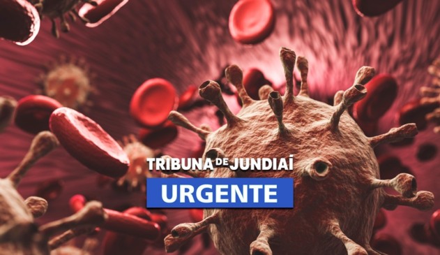 Estrutura viral de um vírus
