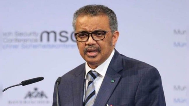 (Foto: Reprodução/Hypeness)