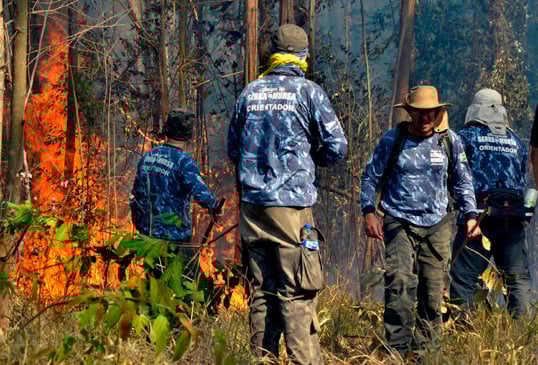 Combate ao fogo no Mursa. (Foto: Divulgação)