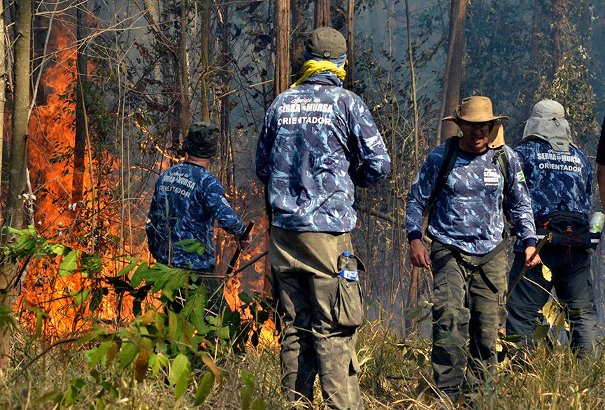 Combate ao fogo no Mursa. (Foto: Divulgação)
