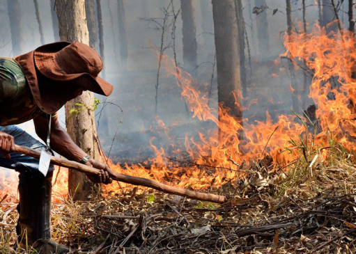 Combate ao fogo no Mursa. (Foto: Divulgação)
