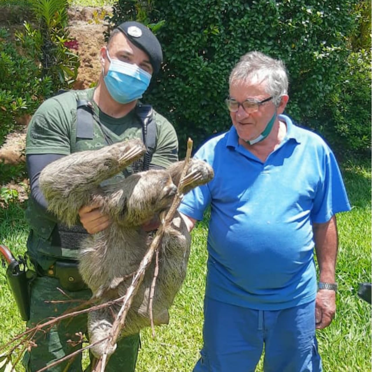 GMJ resgata bicho preguiça em chácara no bairro Terra Nova, em Jundiaí
