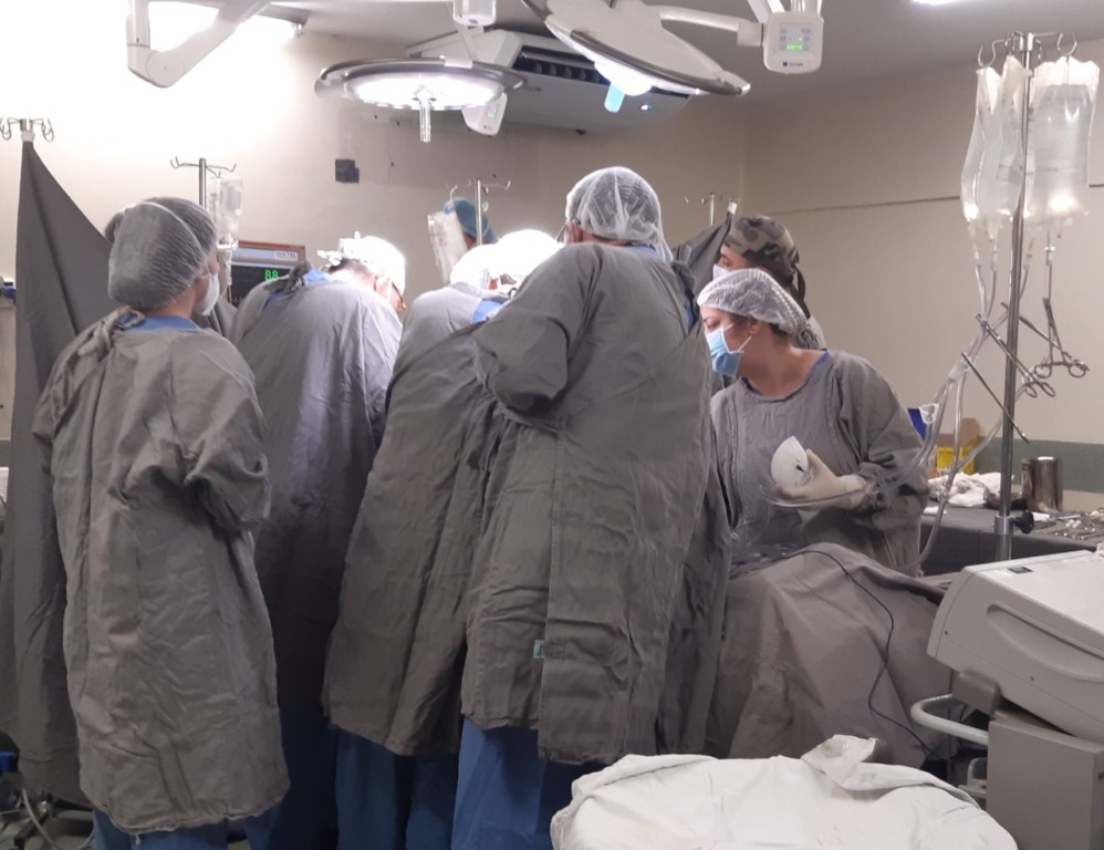 transplante são vicente