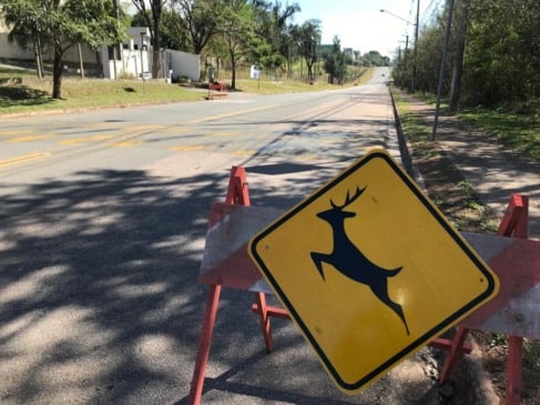 Placa Animais Jundiaí