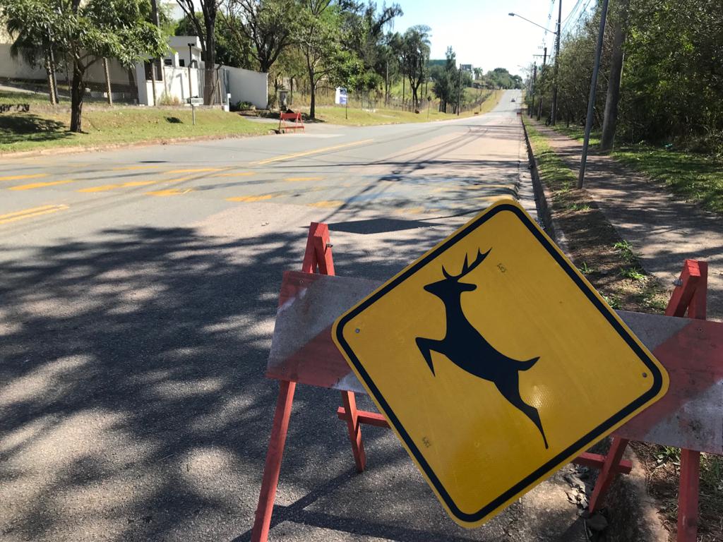 Placa Animais Jundiaí