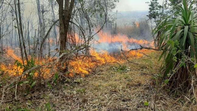 Guarda Municipal de Jundiaí trabalha no combate ao incêndio no Morro da Baleia, em Jundiaí