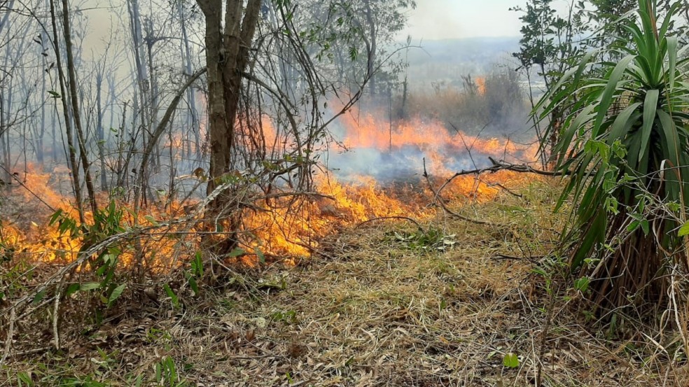 Guarda Municipal de Jundiaí trabalha no combate ao incêndio no Morro da Baleia, em Jundiaí