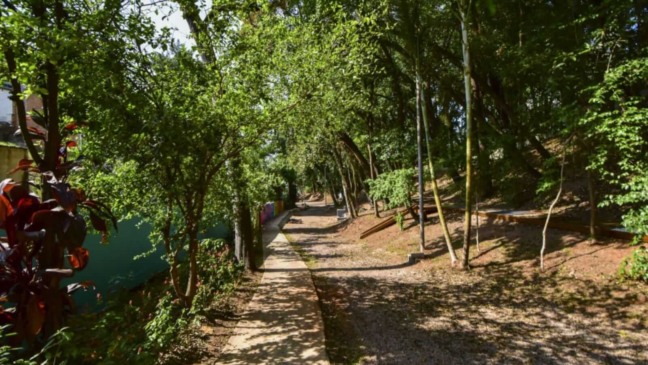 Bosque do Bonfiglioli