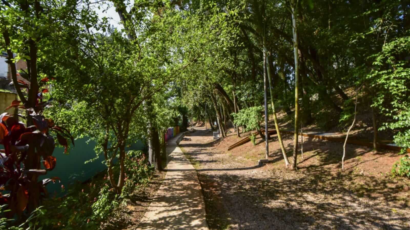 Bosque do Bonfiglioli