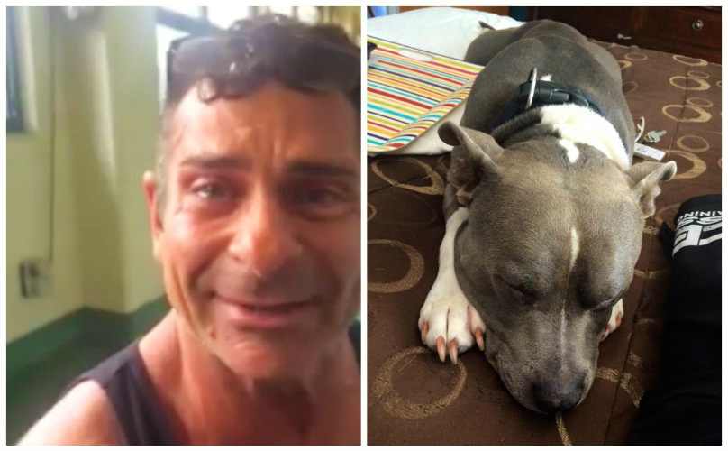 Tutor reencontra cachorro roubado há 2 anos, apenas 2 dias antes de ser sacrificado