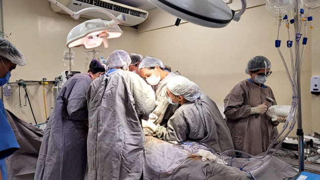 Órgãos serão direcionados para pacientes que aguardam na fila para transplante (foto: divulgação)