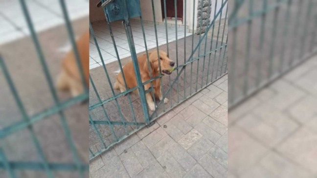 Foto: Reprodução Facebook