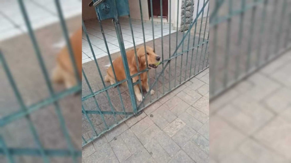 Foto: Reprodução Facebook